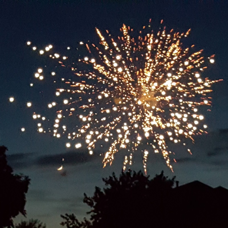 Vicki-backyard fireworks